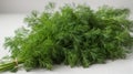 Fresh dill bunch on a white background, isolated. Royalty Free Stock Photo