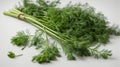 Fresh dill bunch on a white background, isolated.