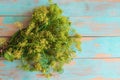 Fresh dill bunch on wooden background Royalty Free Stock Photo