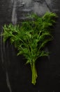 Fresh dill on stone table