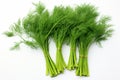 fresh dill vegetable on white background, ai generated