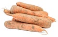 Fresh dirty carrots isolated