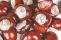 Fresh display of chestnuts on a table surface Royalty Free Stock Photo