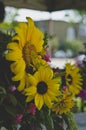 A fresh display of wildflowers at the farmers