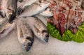 Fresh fish and seafood at supermarket Royalty Free Stock Photo