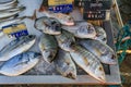 Fresh dorade bass, sea bream and striped seabream at a market in Antibes, France