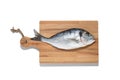 Fresh dorade gifthead fish on the cutting board