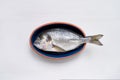 Fresh dorado fish in blue plate on white background. Top view Royalty Free Stock Photo