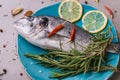 Cooking fresh dorado fish Royalty Free Stock Photo