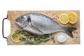 Fresh dorado fish with lemon slices, salt and rosemary on cutting board. Top view, . Royalty Free Stock Photo