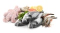 Fresh dorado fish, octopus, shrimps, oysters and salmon on white background