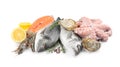 Fresh dorado fish, octopus, shrimps, oysters and salmon on white background