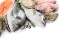 Fresh dorado fish, octopus, shrimps, oysters and salmon on white background, closeup