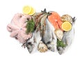 Fresh dorado fish, octopus, shrimps, oysters and salmon on white background, top view