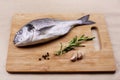 Fresh dorado fish seafood on wooden plank Royalty Free Stock Photo