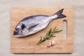 Fresh dorado fish seafood on wooden plank Royalty Free Stock Photo