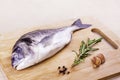 Fresh dorado fish seafood on wooden plank Royalty Free Stock Photo