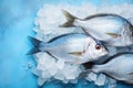 Fresh Dorado or Sea Bream on Ice Cubes on Blue Concrete Background AI Generated