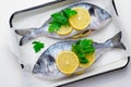 Fresh Dorado or Sea Bream with Lemon and Herbs, Raw Fish Ready to be Cooked, Top View Royalty Free Stock Photo