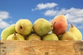 Fresh doyenne de comice pears Royalty Free Stock Photo