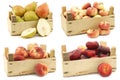 Fresh `doyenne de comice` pears, flat peaches and flat wild nectarines Royalty Free Stock Photo