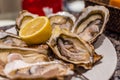 Fresh dozen oysters on plate