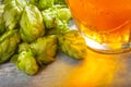 Fresh draft beer with hops Royalty Free Stock Photo
