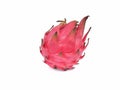 Fresh dragon fruit or pitaya isolated on white background Royalty Free Stock Photo