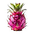 Fresh dragon fruit. Whole dragon fruit isolated. Healthy diet. Vegetarian food