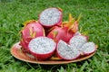 Fresh Dragon Fruits Royalty Free Stock Photo