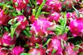 Fresh Dragon Fruits in the morning market Royalty Free Stock Photo