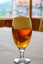 Fresh draught lager or IPA beer is glass served in indoor cafe close up, glass of beer Royalty Free Stock Photo