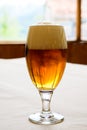 Fresh draught lager or IPA beer is glass served in indoor cafe close up, glass of beer Royalty Free Stock Photo