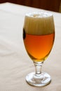Fresh draught lager or IPA beer is glass served in indoor cafe close up, glass of beer Royalty Free Stock Photo