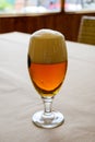 Fresh draught lager or IPA beer is glass served in indoor cafe close up, glass of beer Royalty Free Stock Photo