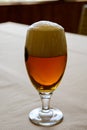 Fresh draught lager or IPA beer is glass served in indoor cafe close up, glass of beer Royalty Free Stock Photo