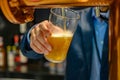 Fresh draught lager or IPA beer is glass served in indoor cafe close up, pint of beer Royalty Free Stock Photo