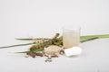 Fresh and dried Acorus calamus roots, also known as sweet flag, calamus leaves and powder, tonic for skin and hair Royalty Free Stock Photo