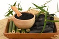 Fresh and dried bamboo and Bamboo charcoal powder. Royalty Free Stock Photo