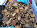 Fresh dried chinese brown mushrooms