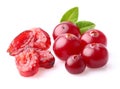 Fresh and dried cranberry