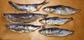 Fresh dried fish on the Board Royalty Free Stock Photo