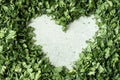 Fresh dried greenery parsley in shape of heart adaptogens ingredient. Herbal medicine healthy eating. Superfood