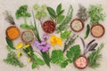 Fresh and Dried Herb Selection Royalty Free Stock Photo