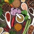 Fresh and Dried Herb and Spice Collection Royalty Free Stock Photo