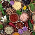 Fresh and Dried Herb and Spice Selection Royalty Free Stock Photo