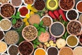 Fresh and Dried Herbs and Spices Royalty Free Stock Photo