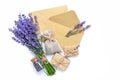 Fresh and dried lavender flowers, sachet and envelopes on white background Royalty Free Stock Photo