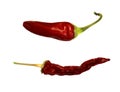 Fresh and dried red chili pepper isolated on white background Royalty Free Stock Photo