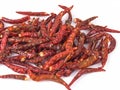 fresh and dried red hot chili peppers on a white background Royalty Free Stock Photo